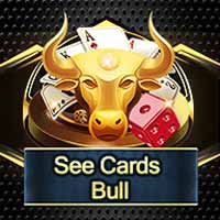 see-cards-bull