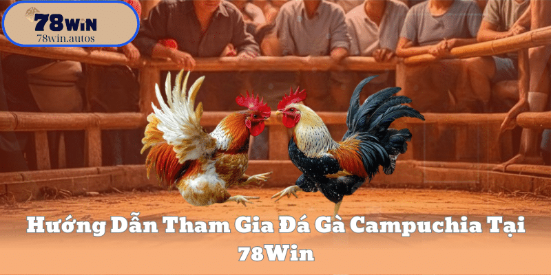 Hướng Dẫn Tham Gia Đá Gà Campuchia Tại 78Win