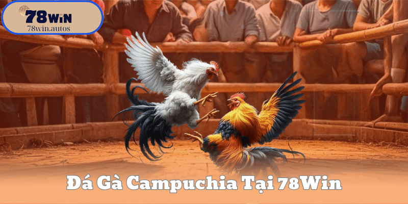 Đá Gà Campuchia Tại 78Win