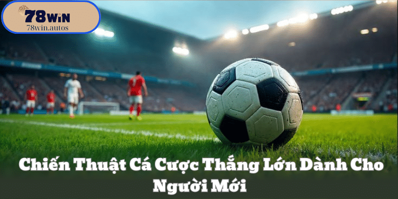 Chiến Thuật Cá Cược Thắng Lớn Dành Cho Người Mới